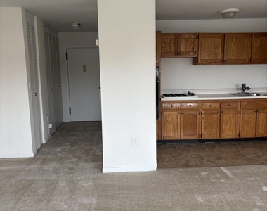 385 Ocean Boulevard - Photo Thumbnail 6