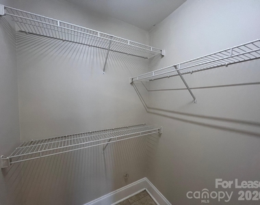 18733 Vineyard Point Lane - Photo Thumbnail 20