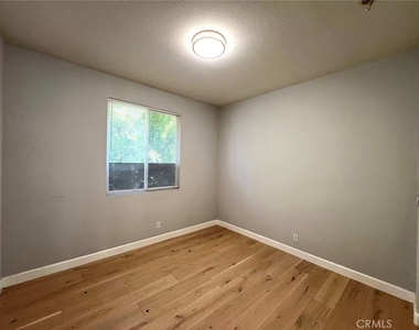 32 Bristlecone - Photo Thumbnail 11