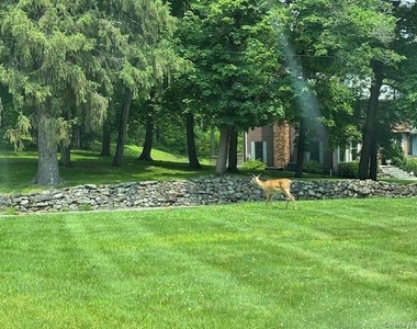 78 Duncan Avenue - Photo Thumbnail 43