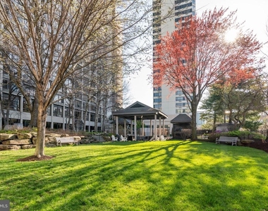2001 Hamilton Street - Photo Thumbnail 24