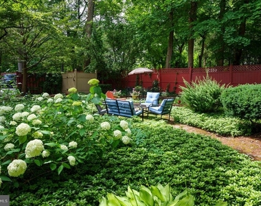 156 Mercer Street - Photo Thumbnail 26