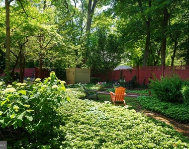 156 Mercer Street - Photo Thumbnail 15