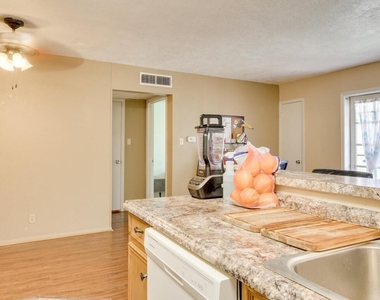 910 Duncan Ln - Photo Thumbnail 3