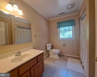 11 Roberts Road - Photo Thumbnail 19