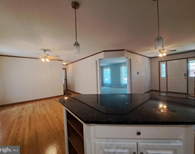 11 Roberts Road - Photo Thumbnail 5