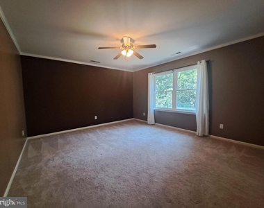 11 Roberts Road - Photo Thumbnail 20