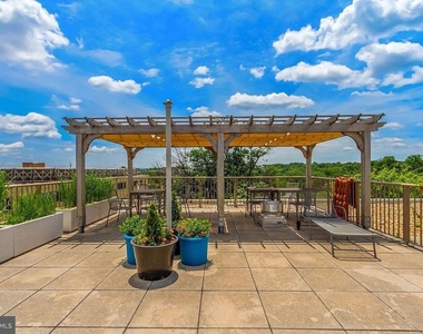 4600 Connecticut Avenue Nw - Photo Thumbnail 30