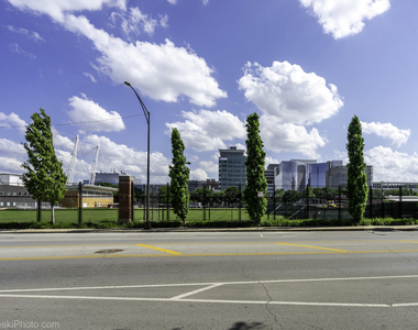 5459 S Ingleside Avenue - Photo Thumbnail 15
