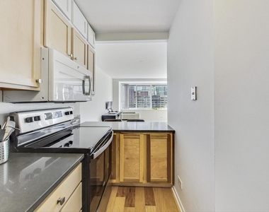 211 E Ohio Street - Photo Thumbnail 13