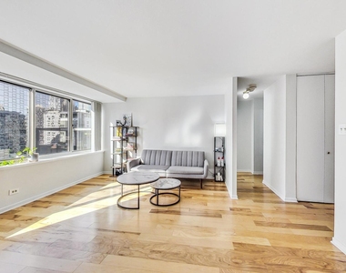 211 E Ohio Street - Photo Thumbnail 9