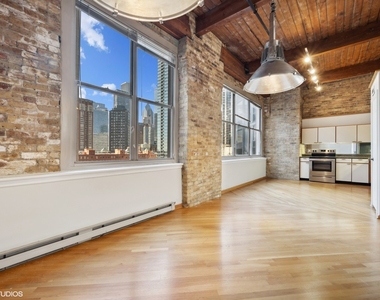 540 N Lake Shore Drive - Photo Thumbnail 5