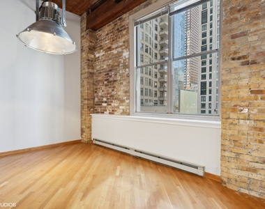 540 N Lake Shore Drive - Photo Thumbnail 6