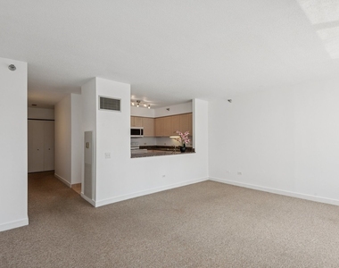 512 N Mcclurg Court - Photo Thumbnail 9