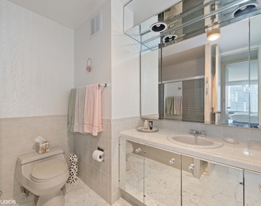 505 N Lake Shore Drive - Photo Thumbnail 6