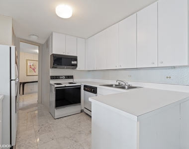 505 N Lake Shore Drive - Photo Thumbnail 2