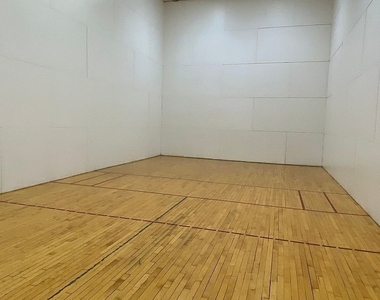 211 E Ohio Street - Photo Thumbnail 16