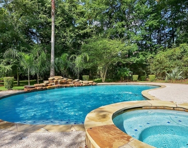 10819 Lake Windcrest - Photo Thumbnail 47