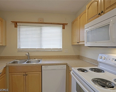 1420 Park Shore Circle - Photo Thumbnail 4