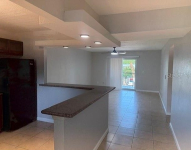 14413 Americana Circle - Photo Thumbnail 2