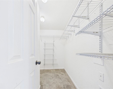 16310 Fairford Palms Court - Photo Thumbnail 24