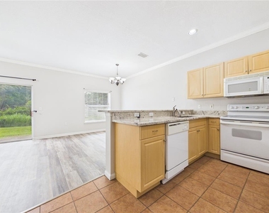 16310 Fairford Palms Court - Photo Thumbnail 10