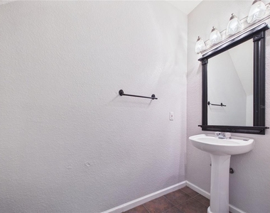 16310 Fairford Palms Court - Photo Thumbnail 4