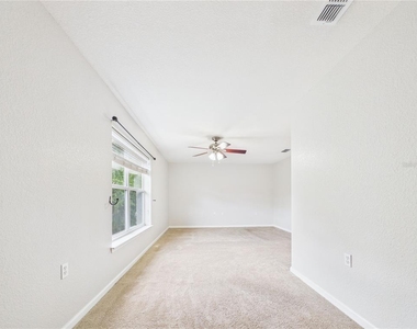 16310 Fairford Palms Court - Photo Thumbnail 22
