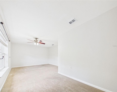 16310 Fairford Palms Court - Photo Thumbnail 18