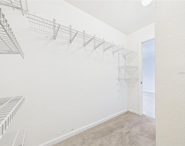 16310 Fairford Palms Court - Photo Thumbnail 25