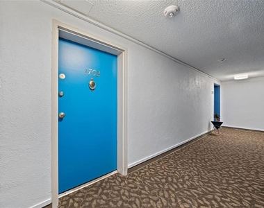 4141 Bayshore Boulevard - Photo Thumbnail 1