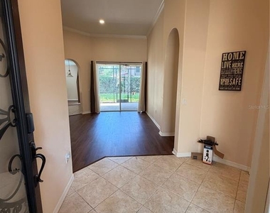 11316 Rapallo Lane - Photo Thumbnail 4