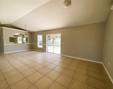 311 Baccarat Court - Photo Thumbnail 2