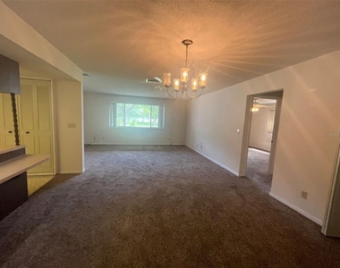 13 Courtney Place - Photo Thumbnail 1