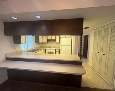 13 Courtney Place - Photo Thumbnail 2