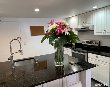 60 Strawberry Hill Avenue - Photo Thumbnail 10