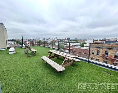 286 Stanhope Street - Photo Thumbnail 6
