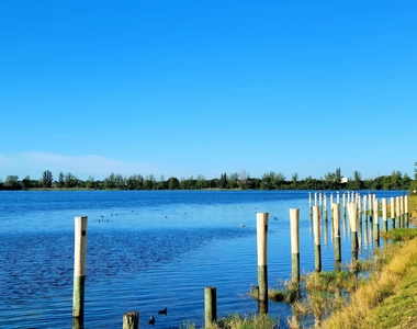 111 Lake Emerald Drive - Photo Thumbnail 31