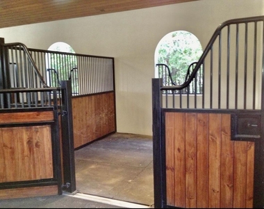2583 Appaloosa Trail - Photo Thumbnail 4