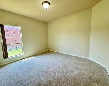 17713 Fruited Plain Lane - Photo Thumbnail 14