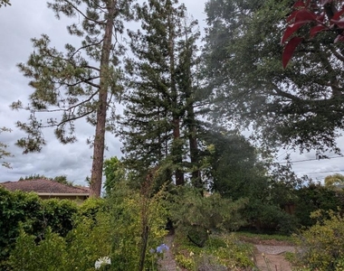 19645 Ladera Court - Photo Thumbnail 92