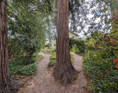 19645 Ladera Court - Photo Thumbnail 86