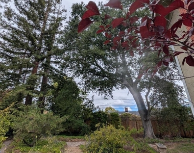 19645 Ladera Court - Photo Thumbnail 93