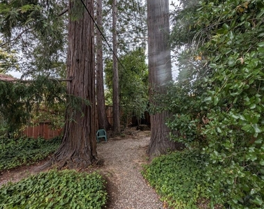19645 Ladera Court - Photo Thumbnail 82