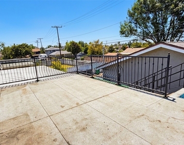 2621 Damien - Photo Thumbnail 21
