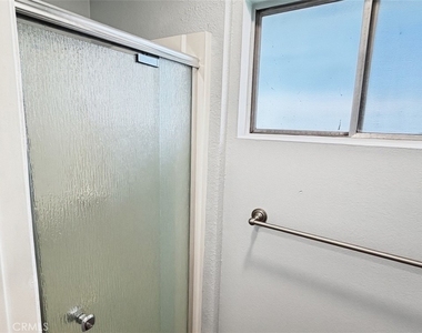 2621 Damien - Photo Thumbnail 18