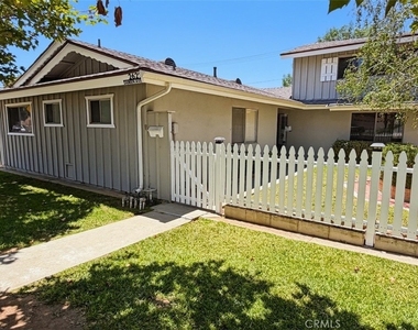 2621 Damien - Photo Thumbnail 23