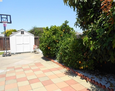 1257 Henderson Ln - Photo Thumbnail 20