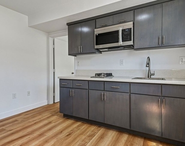 219 E 87th Street - Photo Thumbnail 4
