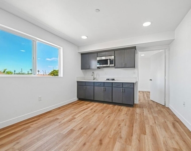 219 E 87th Street - Photo Thumbnail 20